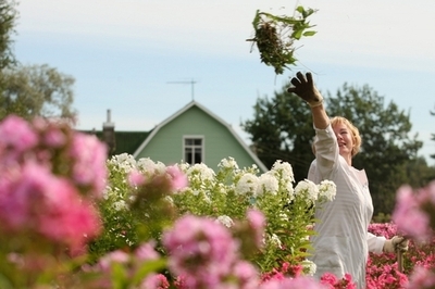 欧州最大の種子銀行が取り壊しの危機に、ロシア