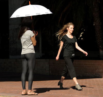 世界一長いキャットウォーク、2.8キロ