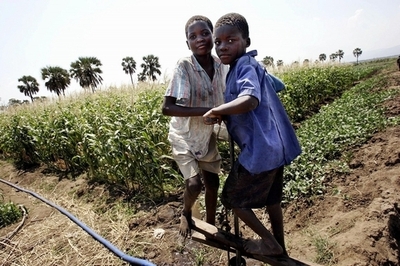 外国企業に収奪されるアフリカの土地、新たな被支配の構図