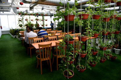 「アルプスの空気」をオフィスへ、インドで注目の大気汚染対策