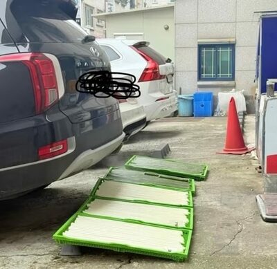車が行き交う駐車場で餅を乾燥…韓国「ほこりや排ガスは大丈夫？」利用客が疑問
