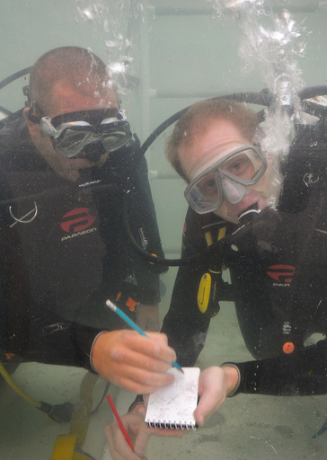 「水中で三目並べ」の世界記録に挑戦、オーストラリア