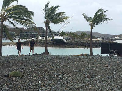 大型のサメ3匹を駆除、人気観光地でサメの襲撃相次ぎ 豪