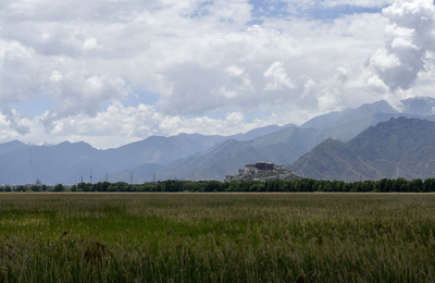 チベットの「天然酸素バー」ラル湿地 市民の暮らしも潤す動物の楽園
