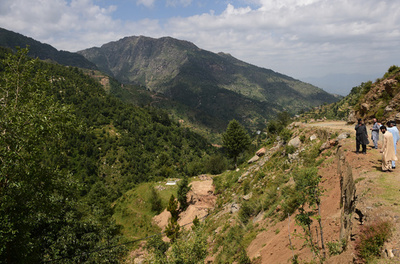 乾燥地が緑あふれる森林に、植林90万本 パキスタン