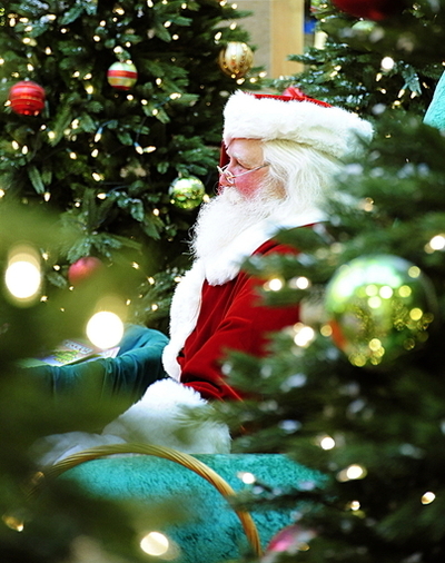 サンタツアー引率、教員2人毒ヘビにかまれる オーストラリア