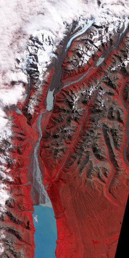 NZ地震で崩落したタスマン氷河、NASA