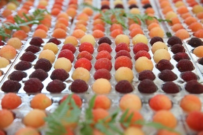 色合い豊かな中国の「ヤマモモ」 海外にも輸出 浙江・余姚