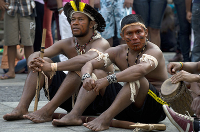 「土地権擁護者」への攻撃が世界で増加、国際人権連盟