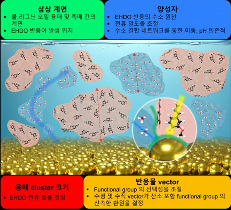 KIST(c)KOREA WAVE