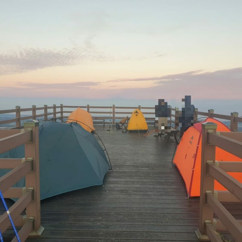 済州道ホームページ(c)MONEYTODAY