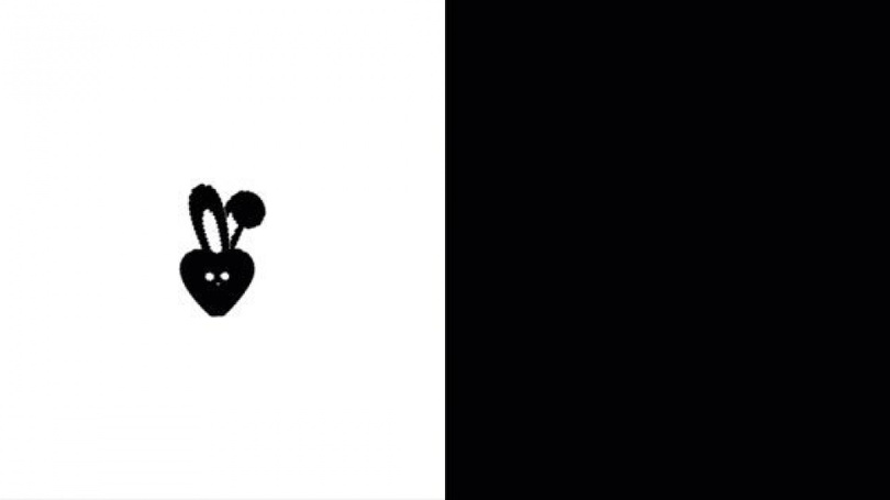 MAMAMOO+、8月 3日1st ミニアルバム「TWO RABBITS」カムバック 写真枚 国際ニュース：AFPBB News