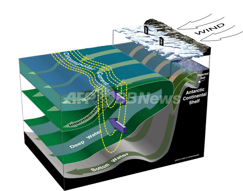 南極低層水が激減、気候変化が原因 豪州研究