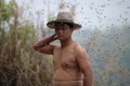 中国・重慶（Chongqing）で、全身にミツバチをまとう準備する養蜂家のシャ平（She Ping）さん（2014年4月9日撮影）。(c)AFP