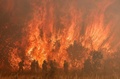 スペイン北部サモラ近郊の山火事の消火を行う消防隊員（2022年6月18日撮影）。(c)CESAR MANSO / AFP
