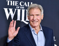 米カリフォルニア州ロサンゼルスで主演作のプレミア上映会に出席する米俳優のハリソン・フォード（2020年2月13日撮影）。(c)Amy Sussman/Getty Images/AFP