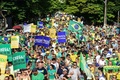 ブラジル・サンパウロで行われたジルマ・ルセフ大統領への抗議デモ（2015年3月15日撮影）。(c)AFP/NELSON ALMEIDA