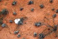 小惑星探査機「はやぶさ2」から分離し、豪南部に着地したカプセル。宇宙航空研究開発機構（JAXA）提供（2020年12月6日撮影、公開）。(c)AFP PHOTO / JAXA