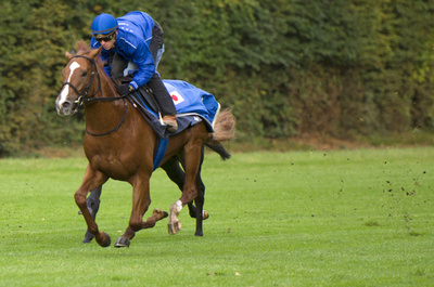 凱旋門賞、日本馬初優勝へ期待高まる