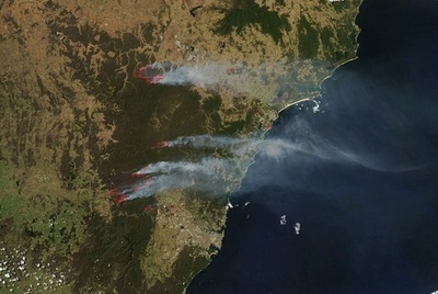 山火事は「地球温暖化と関連」UNFCCC事務局長