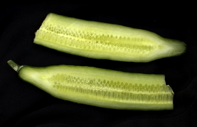 ドイツで猛威振るう食中毒、感染源は依然不明