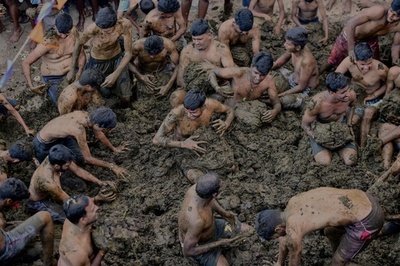 インドで牛ふん投げ合う祭り ヒンズー教の祭典「ディワリ」締めくくる