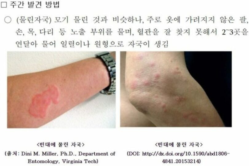 疾病庁(c)MONEYTODAY