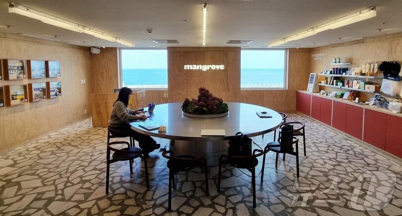 マングローブ済州シティ(c)news1