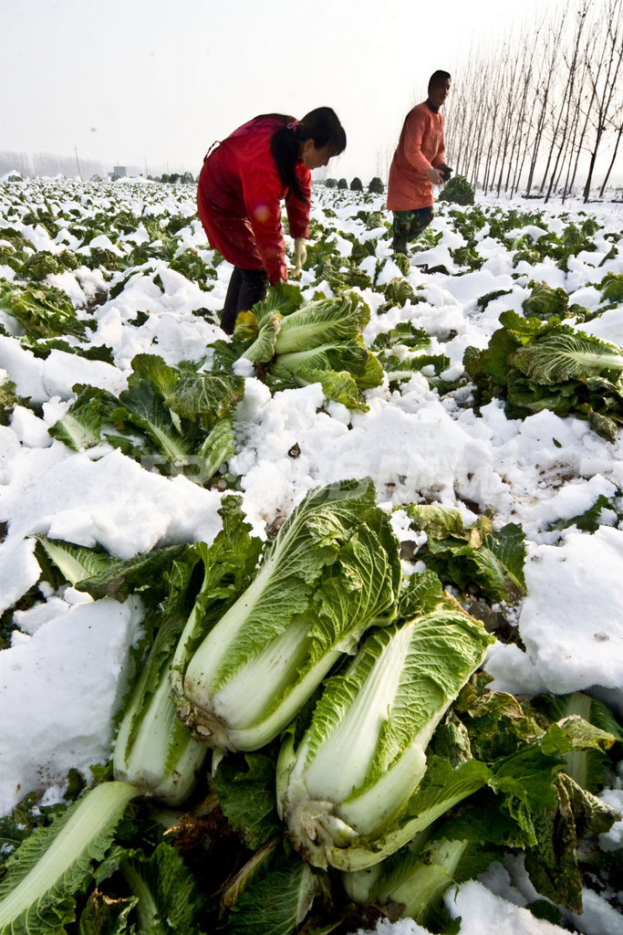 中国北部で大雪、ガソリンスタンドや住宅が倒壊