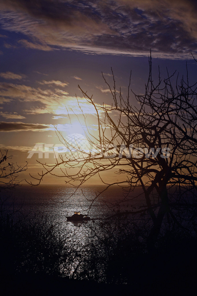 ガラパゴス諸島サン・クリストバル島の動物たち