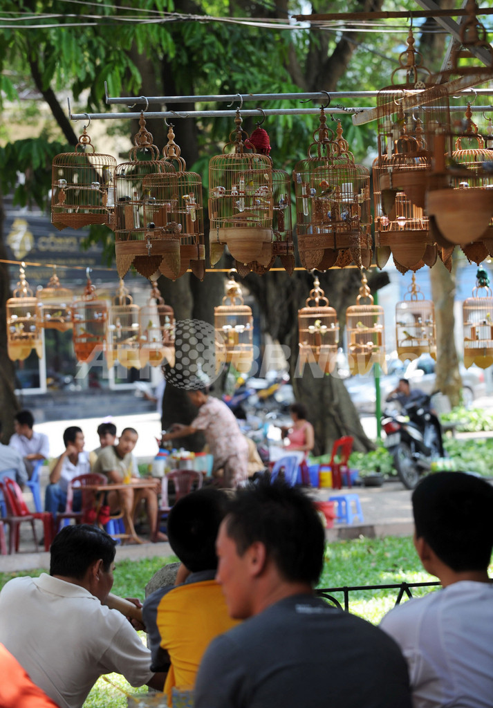 鳥のさえずり楽しむ、ベトナム