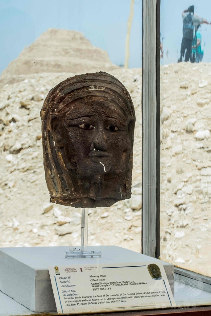 ミイラ製作場の遺跡から発見の考古遺物、エジプトで展示