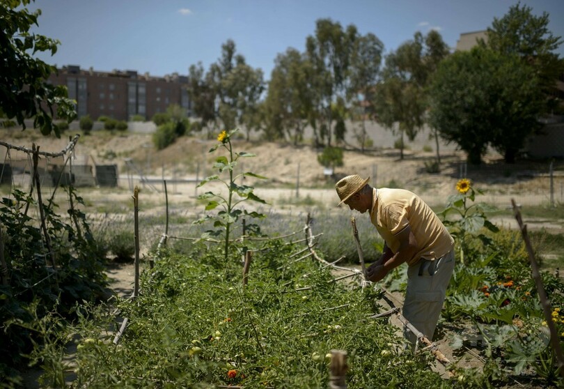 バブル後の空き地を都市菜園に、スペイン