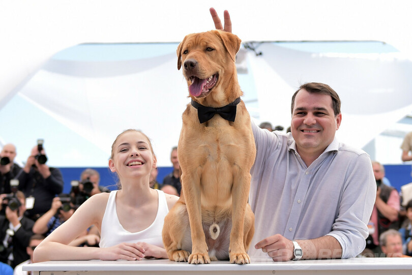 カンヌ映画祭のパルム・ドッグ賞、「兄弟」で受賞