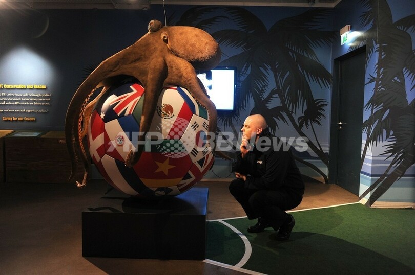 タコのパウルが水族館に「帰還」、巨大像と黄金の骨つぼ