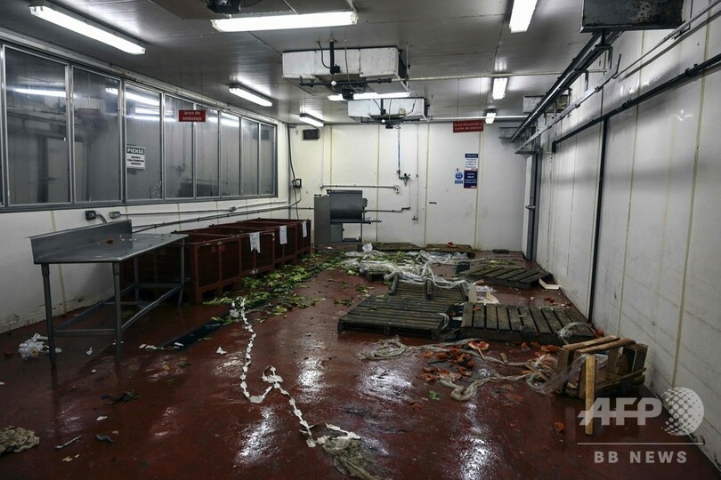 ベネズエラ大停電、デモや略奪で逮捕者300人超