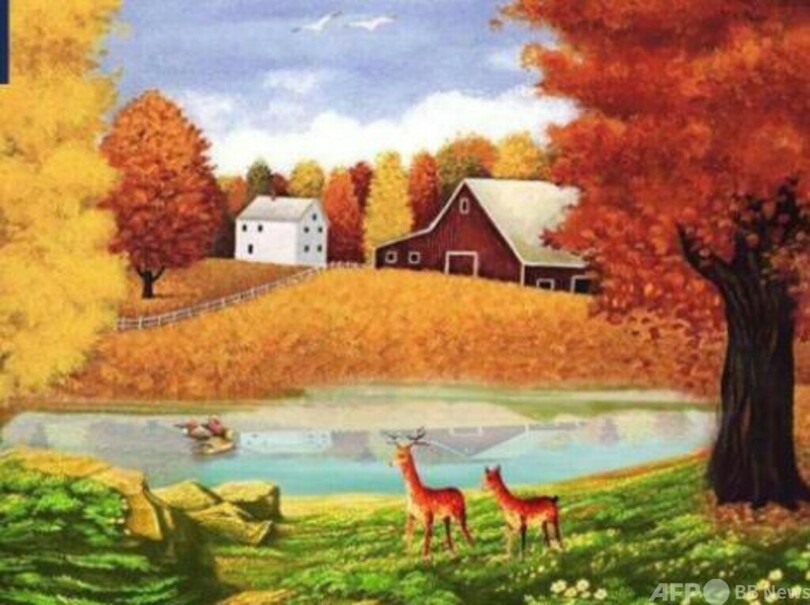 南京大学の学生 学生寮清掃員のために「絵画展」を開催