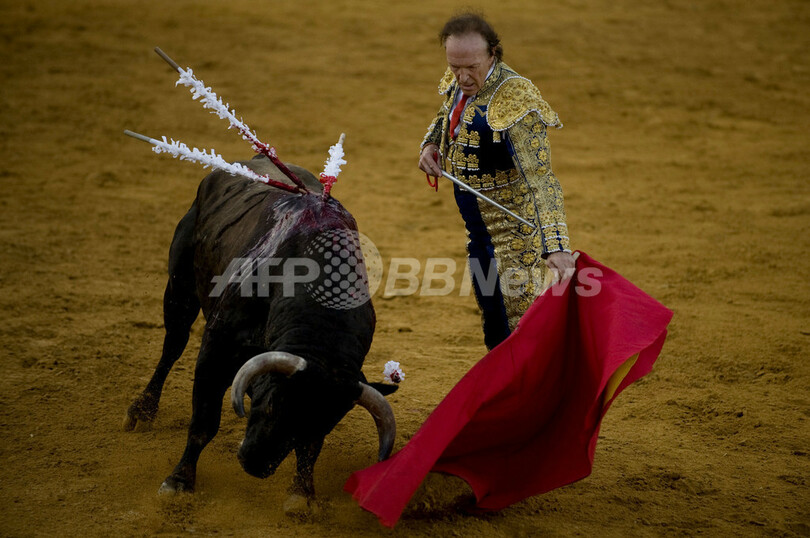 67歳の英国人闘牛士、病気乗り越え4年ぶり現役復帰