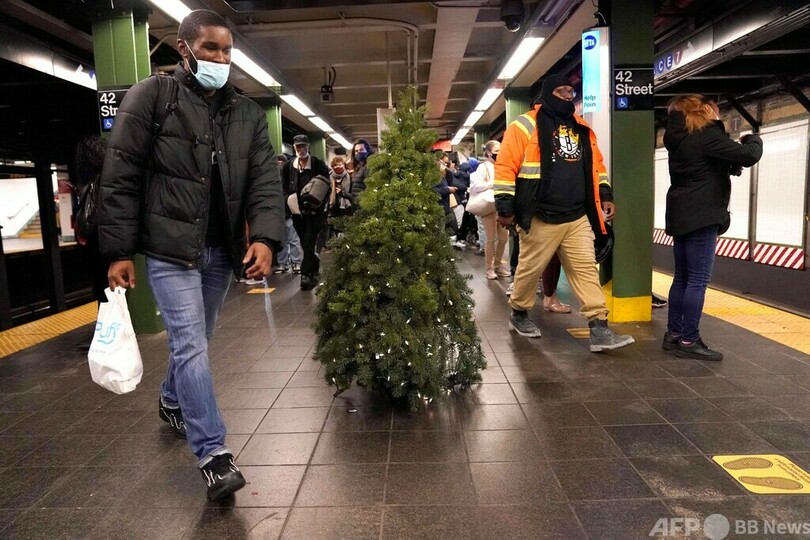 季節の風物詩「ミスター・クリスマスツリー」 今年もNYに出現