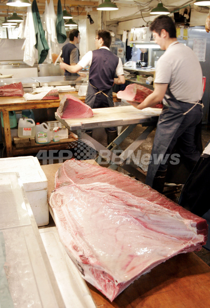 築地市場移転問題、反対派は食文化の崩壊も懸念