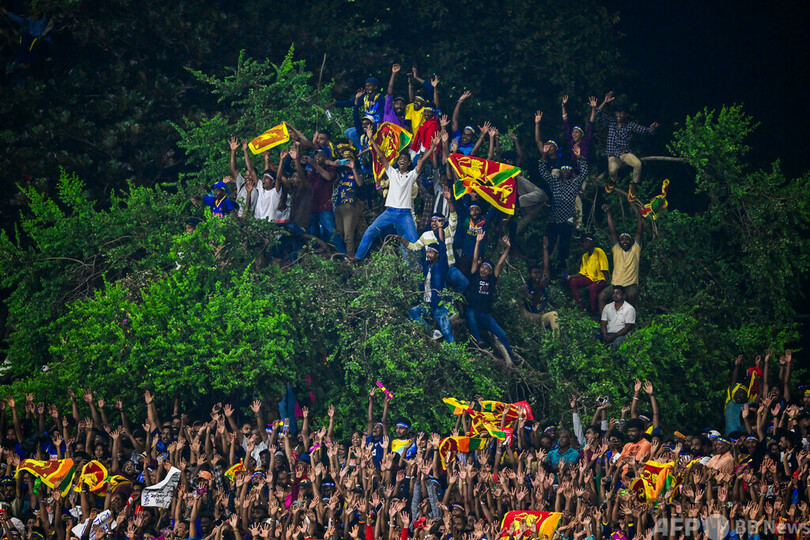 【今日の1枚】クリケット観戦者が熱狂、重さに耐える木の枝 スリランカ