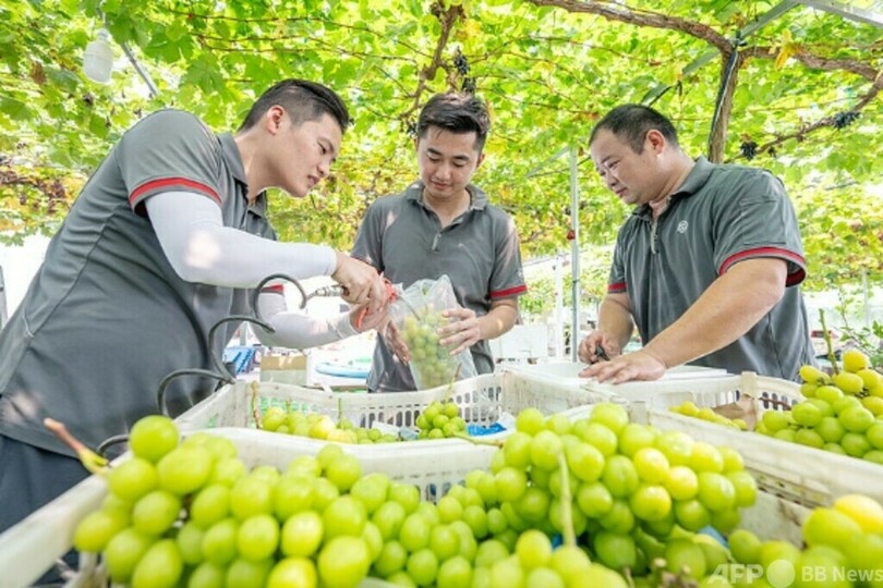 中国の宅配便取扱量 1～8月は前年比17.8%増