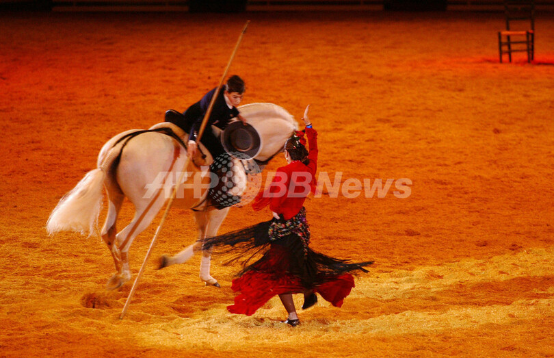 セビリアで馬術見本市開幕、純血種1200種以上を出品