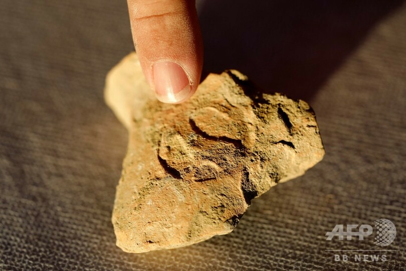 エルサレムの遺跡に多数の印影、古代ユダ王国の税務署跡か