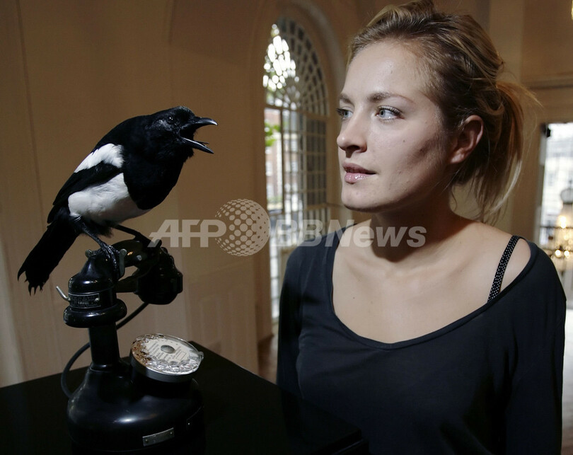 『美しい死体』、ロンドンの教会で動物のはく製展示会