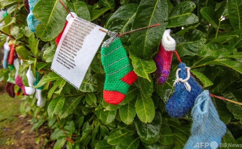 アイルランド母子施設で子ども9000人死亡、国が公式謝罪