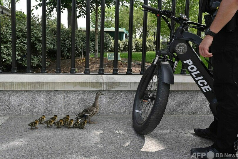 【今日の1枚】敵か味方か、ホワイトハウス前に不審な一家 米