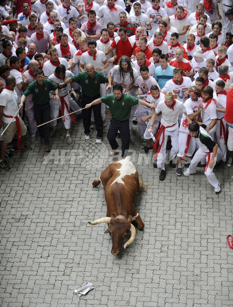 まだまだ続く、スペインの牛追い祭り