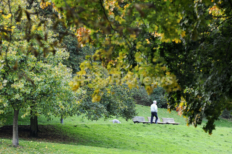 ドイツの秋を彩る紅葉