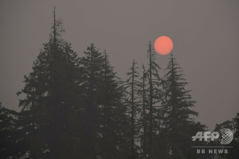 米西部の山火事の煙、欧州に到達 衛星データで判明